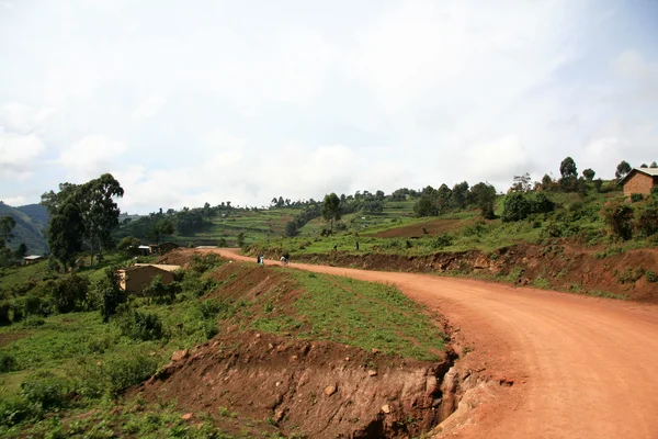 Звивиста дорога веде через Kisoro - Уганда, Африка — стокове фото