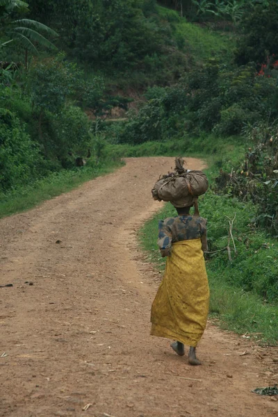 Kongói Demokratikus Köztársaság - november 2.: Menekültek kereszt a Kongói Demokratikus Köztársaság és Uganda: — Stock Fotó