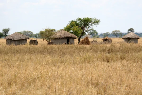 Bahna chýše vesnice - národní park tarangire. Tanzanie, Afrika — Stock fotografie