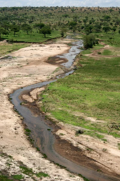 Tarangire River - Tanzania, Africa — Stock Photo, Image