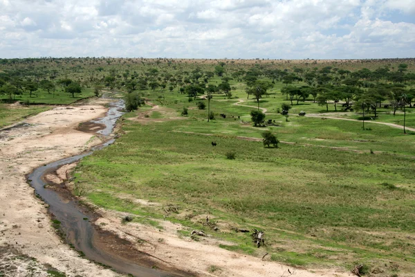 Tarangire river - tanzania, Afrika — Stockfoto
