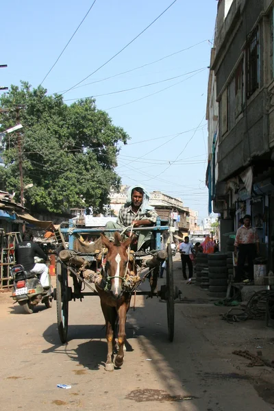 Лошадь и корзина - Agra, India — стоковое фото