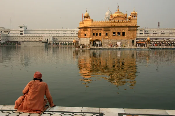 Sikh Mann betet am goldenen Tempel — Stockfoto