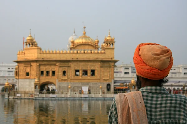 Sikh Man Praying at Golden Temple — Stock Photo, Image