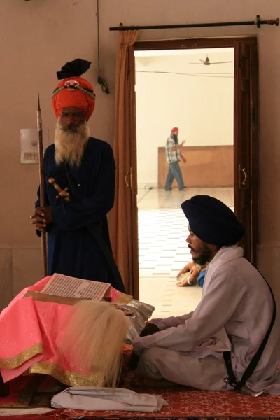 Sikh Man Pregare al Tempio d'Oro — Foto Stock