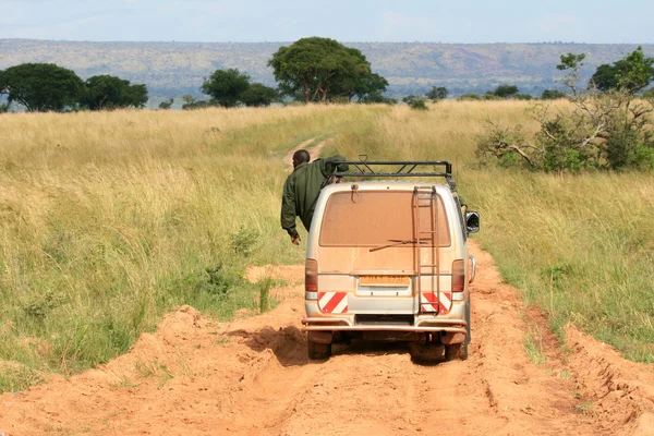 Np, uganda, Afrika Safari van - murchison düşüyor — Stok fotoğraf