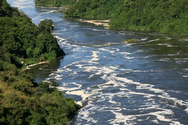 Den nile river, uganda, Afrika — Stockfoto