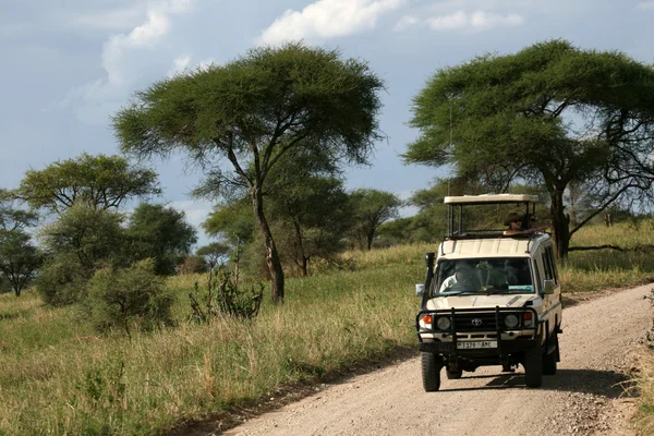 Safari - Tarangire National Park. Tanzania, Africa — Stock Photo, Image