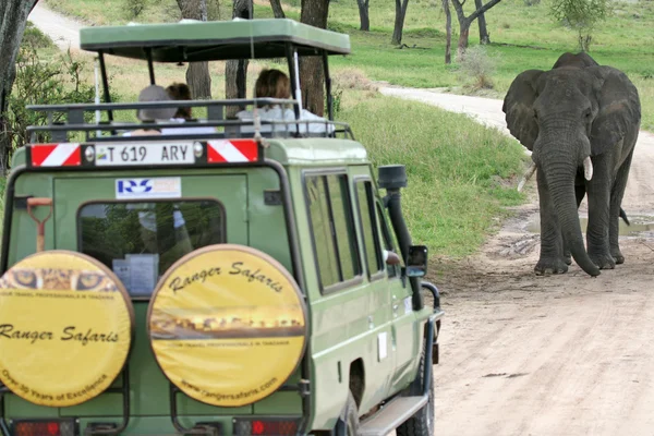 Elephant Blocking The Road- Tanzania, Africa — Stock Photo, Image