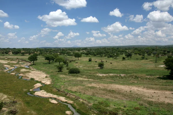 Сафари пейзаж. Танзания, Африка — стоковое фото