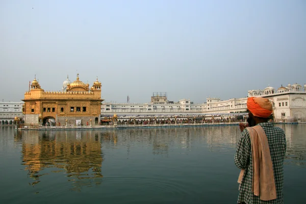 Sikh Man Pregare al Tempio d'Oro — Foto Stock