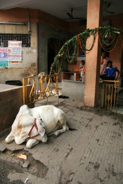 Delhi şehri, Hindistan