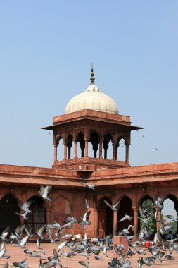 JAMA Mescidi, delhi, India