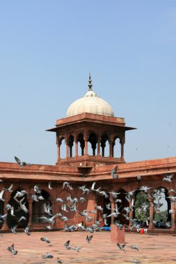 JAMA Mescidi, delhi, India