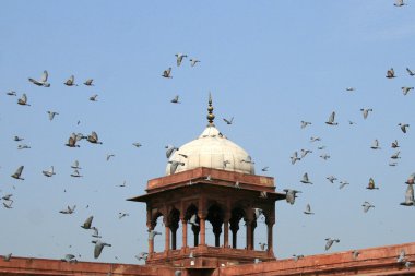 JAMA Mescidi, delhi, India