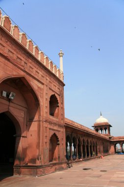 JAMA Mescidi, delhi, India