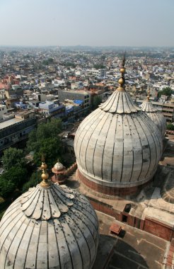 JAMA Mescidi, delhi, India