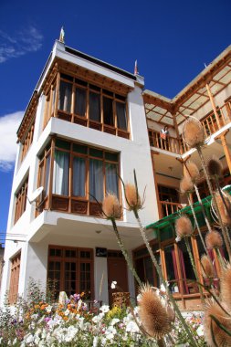 Guesthouse, leh, Hindistan otel