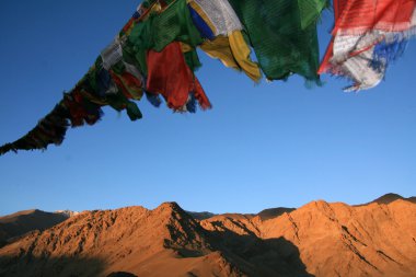 Leh palace, leh, Hindistan