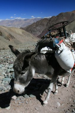 sefer nto Himalayalar, Hindistan