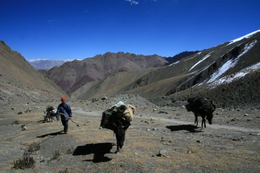 Expedition nto Himalayas, India clipart