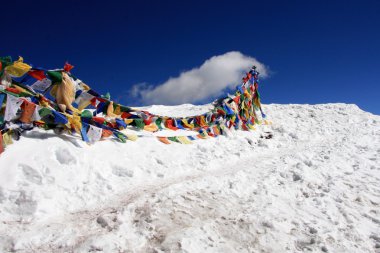 Tibet dua bayrakları - Himalayalar Hindistan