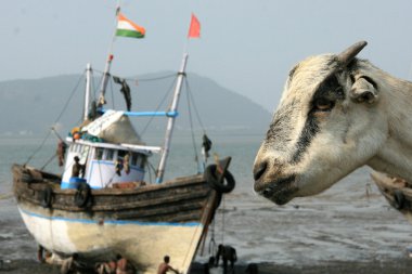 Elephanta Island, Mumbai, India clipart