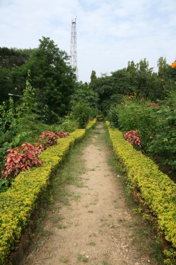 bahçeler - sanjay Gandhi n.p. mumbai, Hindistan