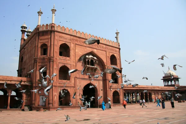 Jama masjid, delhi, Indie — Zdjęcie stockowe