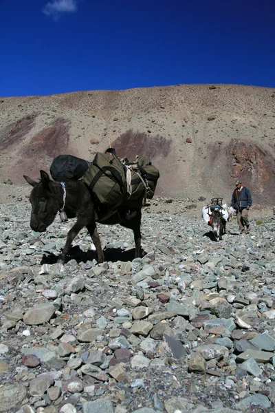 Expedition nto Himalayas, India — Stock Photo, Image