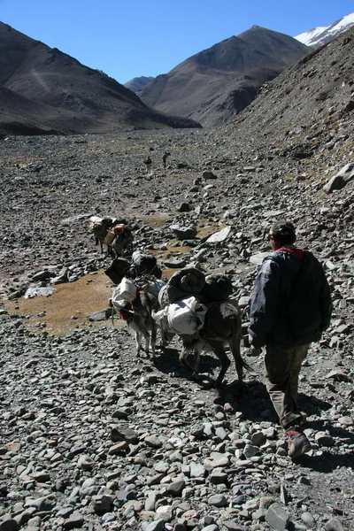 Экспедиция в Гималаи, Индия — стоковое фото