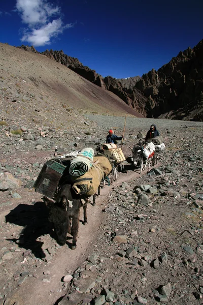 Expedição nto Himalaia, Índia — Fotografia de Stock