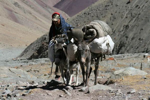 Spedizione in Himalaya, India — Foto Stock