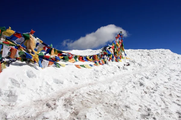 Тибетские молитвенные флаги - Гималаи Индия — стоковое фото