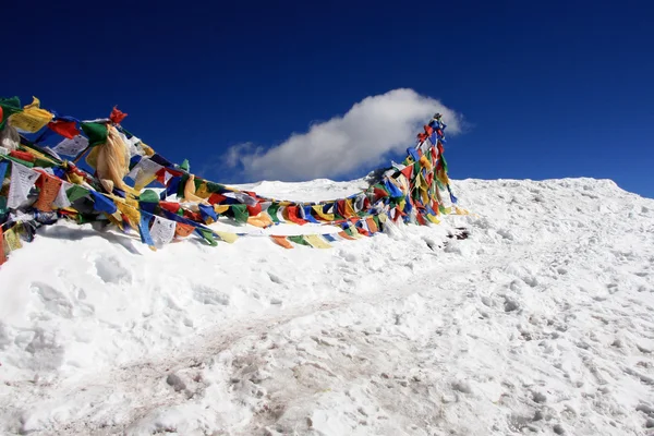 Bandiere di preghiera tibetane - Himalaya India — Foto Stock