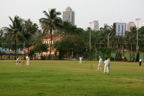 Cricket - marine drive, mumbai, Indien — Stockfoto