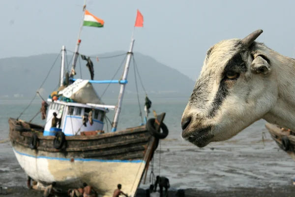 stock image Elephanta Island, Mumbai, India