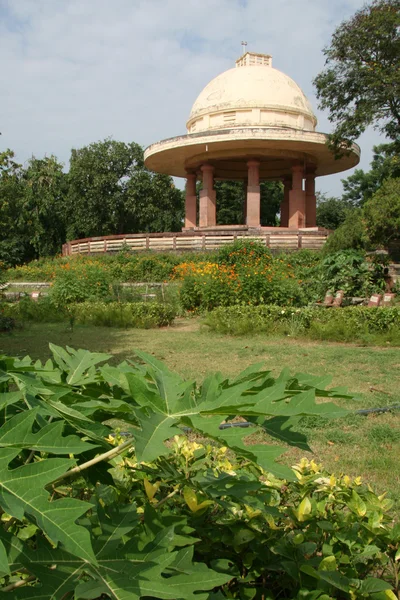 Trädgårdar - sanjay Gandhi NP mumbai, Indien — Stockfoto