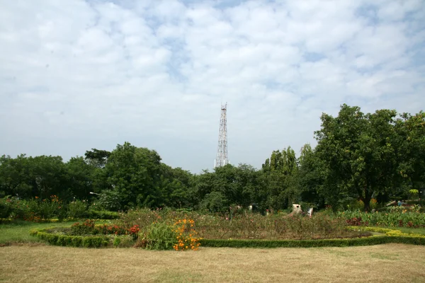 Bahçeler - sanjay Gandhi n.p. mumbai, Hindistan — Stok fotoğraf