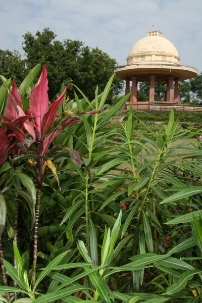 Trädgårdar - sanjay Gandhi NP mumbai, Indien — Stockfoto