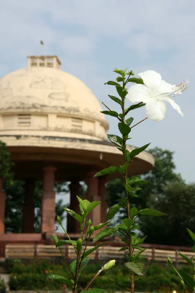 Gärten - sanjay ghandi n.p. mumbai, indien — Stockfoto