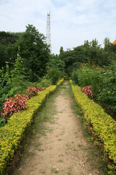 정원-산 자 간디의 NP 뭄바이, 인도 — 스톡 사진
