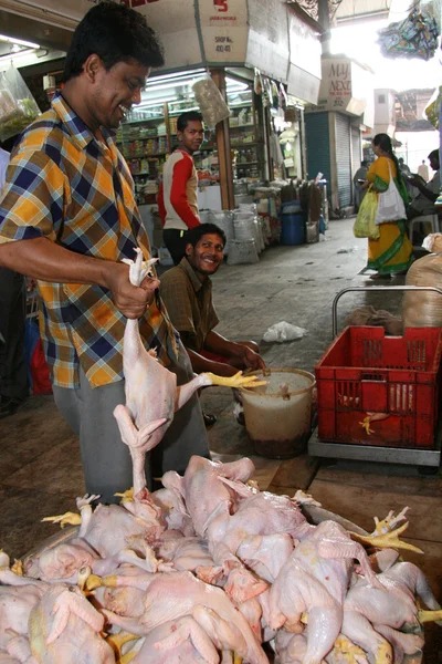 Färsk kyckling - crawford market, mumbai, Indien — Stockfoto