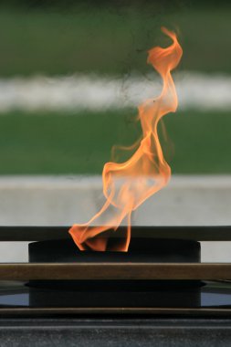 Eternal Flame - Raj Ghat, Delhi, India