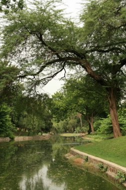 Lodi Bahçe, delhi, India