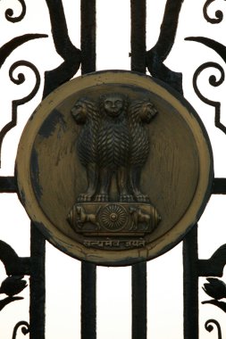 Guard - lutyens delhi, Hindistan