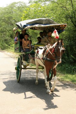 keoladeo Milli Parkı, agra, Hindistan