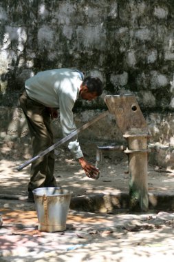 keoladeo Milli Parkı, agra, Hindistan