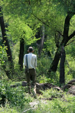 keoladeo Milli Parkı, agra, Hindistan