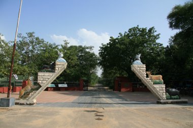 keoladeo Milli Parkı, agra, Hindistan